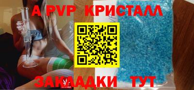 хмурый Тула