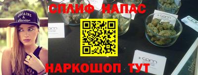 хмурый Тула
