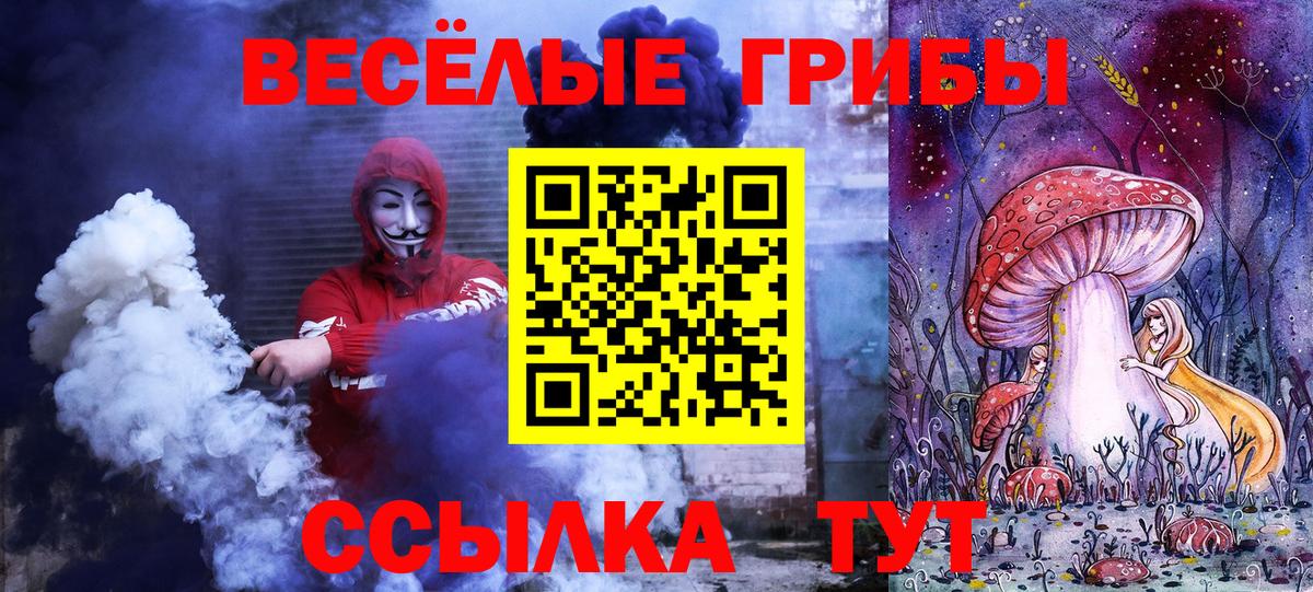 Менделеевск  Псилоцибиновые грибы прущие грибы  Вход с VPN  Псилоцибиновые грибы Magic Shrooms 